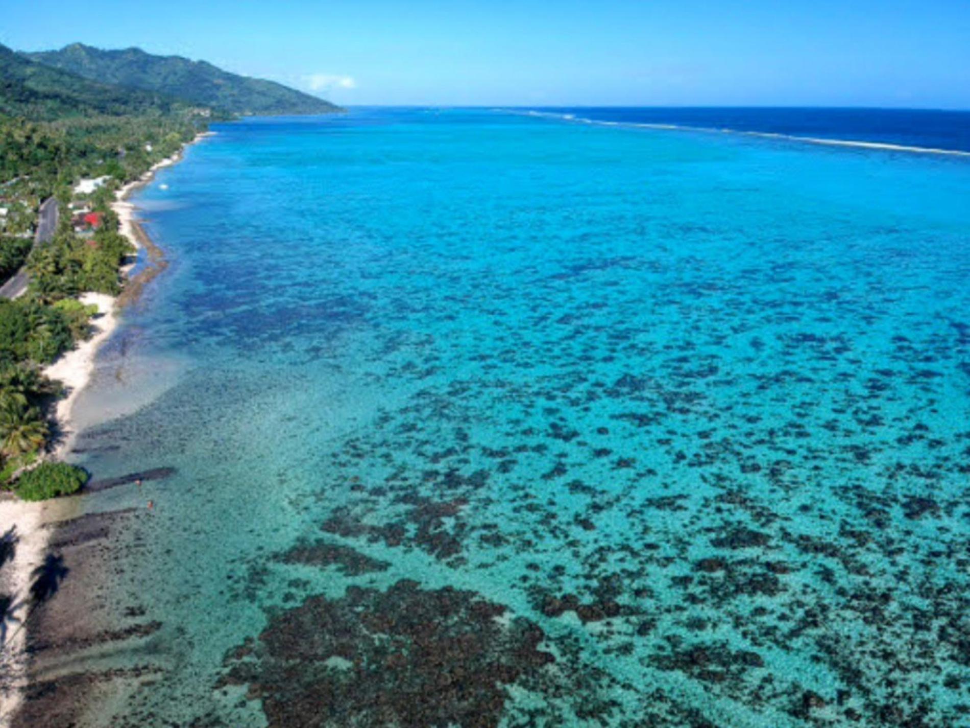 Moorea - Fare Taina Iti Haapiti Eksteriør billede